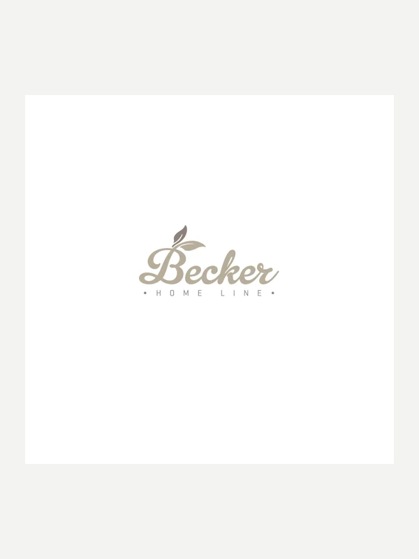 Логотип для бренда Becker