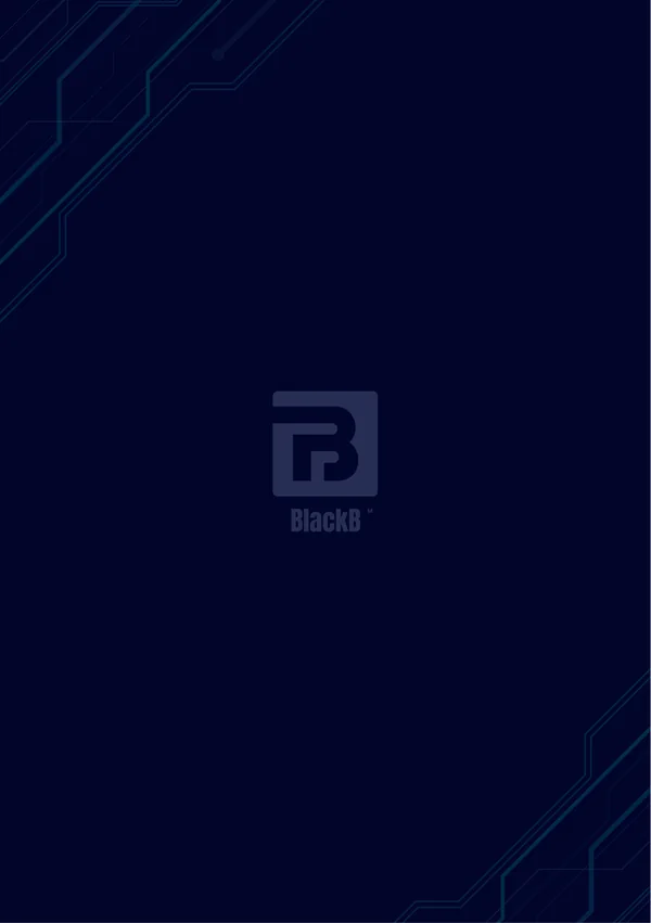 Мануал для зарядного устройства BlackB · 08
